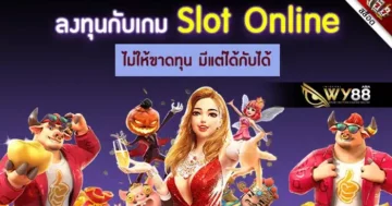 เว็บสล็อต mtybets ความสนุกของการลงทุนรูปแบบใหม่ที่ไม่ซ้ำใคร